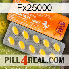 Fx25000 new05